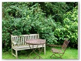 Daheim im Garten
